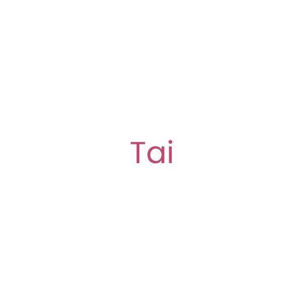 logo-tai